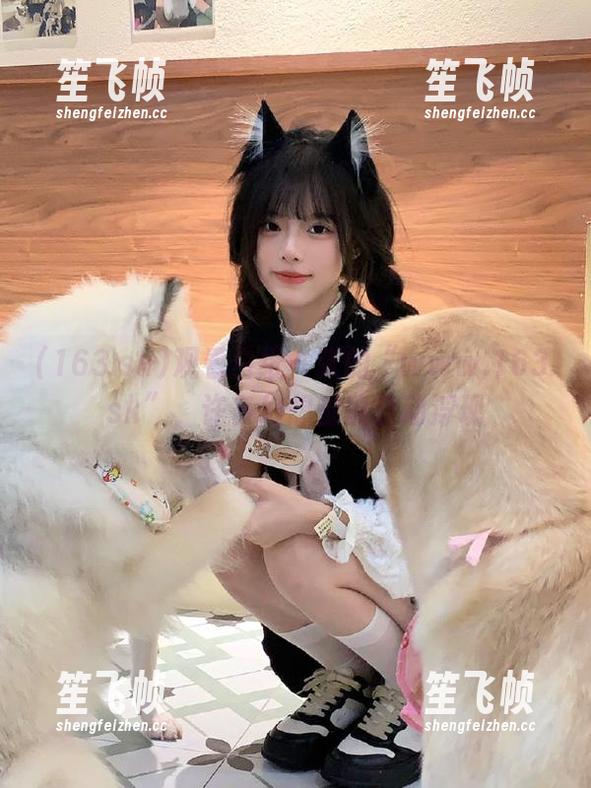 观看白纸一张的“www.163.sk”，许多幻想都能自动浮现
