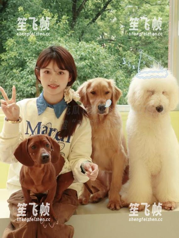 51吃瓜 51吃瓜下载地址轻松GET,来一波“吃瓜”热潮!