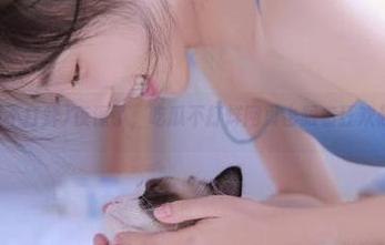 夜深了，吃瓜不打烊网页也跟着狂欢起来？