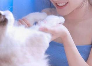 吃瓜网苹果版，给你瓜的同时还有官方的调皮更新等着你