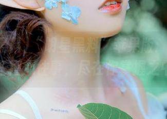 “明星黑料”苹果版：明星的那些糟心往事，尽在你掌握之中！
