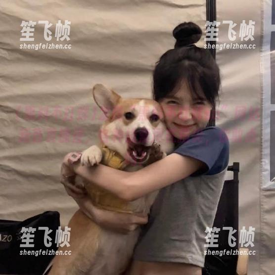 发现“黑料不打烊su”网站新首页捷径，各种线索尽在指尖，你敢点吗？