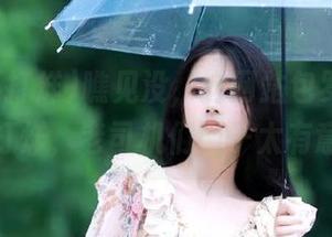 瞧见没，这网站包罗万象，黑料不打烊，老司机们圈子太有意思了！